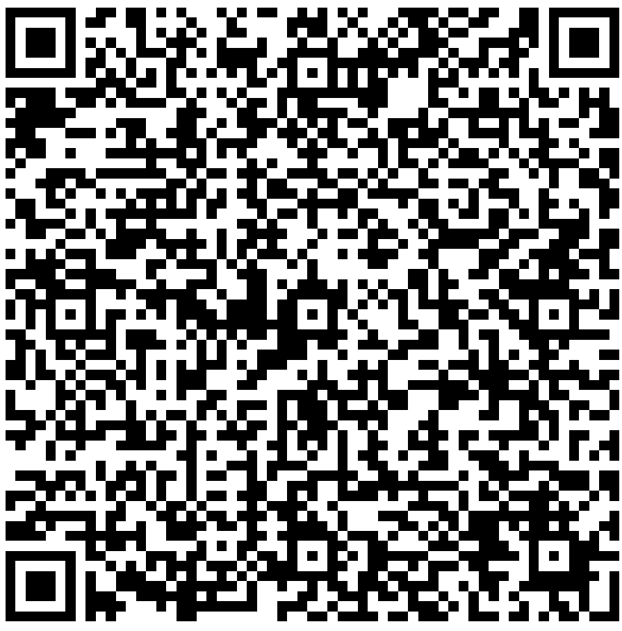 Official Merchant UPI QR Code